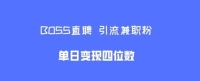 boss直聘引流兼职粉,单日变现四位数 boss直聘引流兼职粉,单日变现四位数