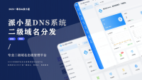 2025派小星DNS二级域名分发公测免费版 2025派小星DNS二级域名分发公测免费版