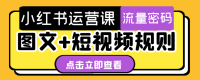 小红书运营课 图文+短视频规则 小红书运营课 图文+短视频规则